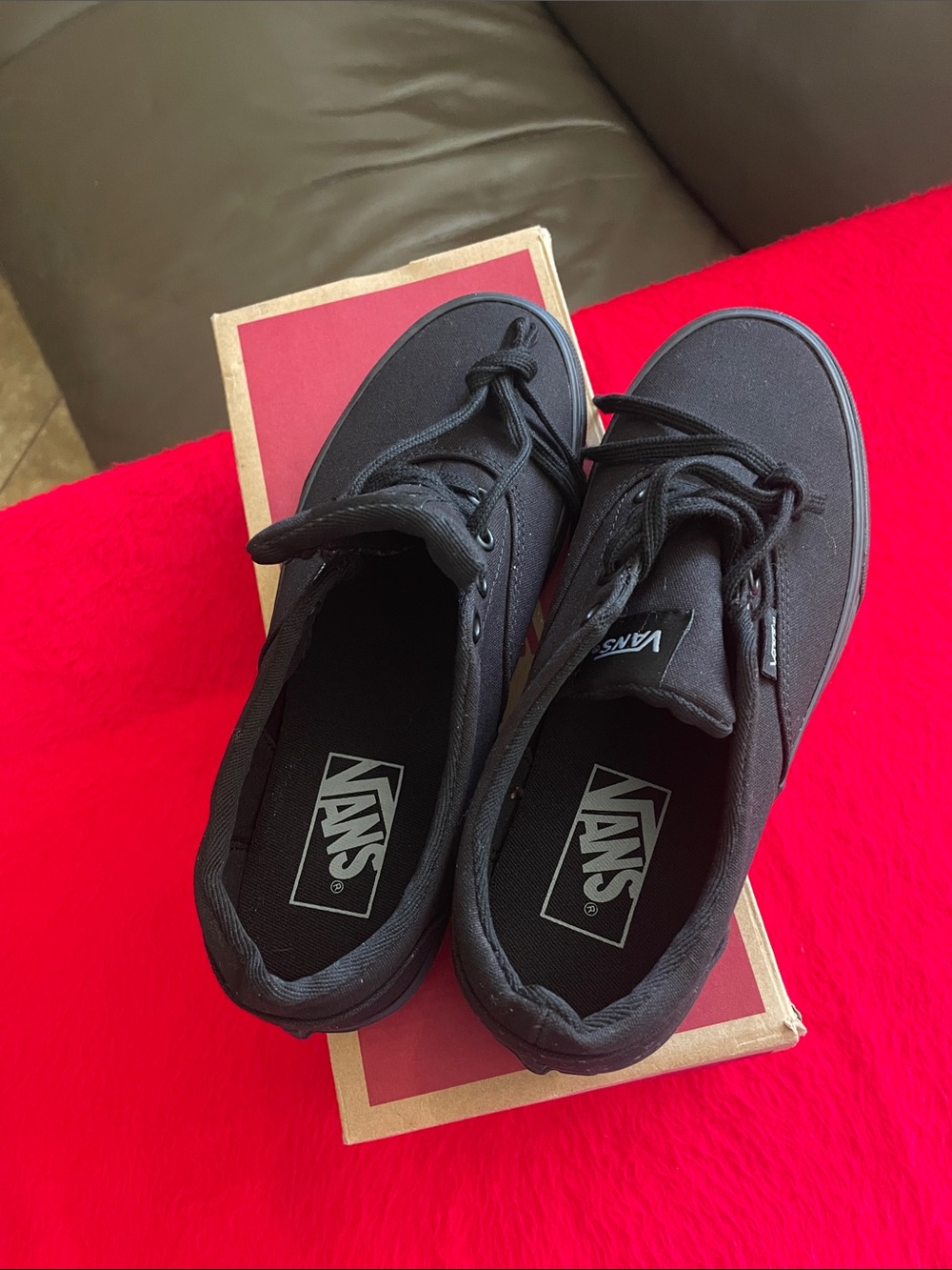 Vans Black Low-Top Canvas Skate Sneakers